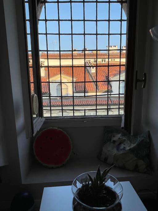 Piccola Mansardina Nel Cuore Di Torino 외부 사진